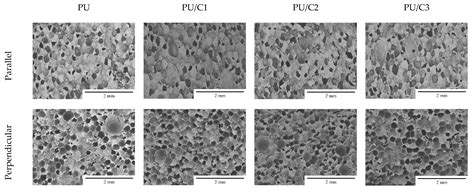 Polyurethane Composite Foams Synthesized Using Bio-Polyols and ...