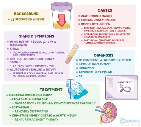 Oliguria: What Is It, Causes, Signs and Symptoms | Osmosis