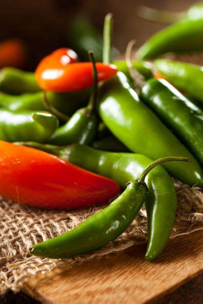 recipes with serrano peppers