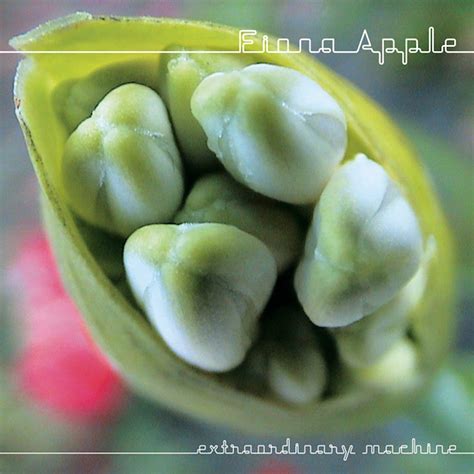 Fiona Apple Shirts, Fiona Apple Merch, Fiona Apple Hoodies, Fiona Apple ...