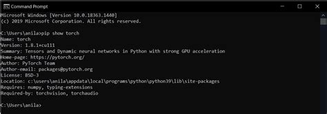 Python Import Torch Windows 的图像结果
