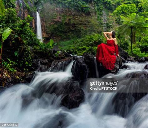 Image result for Eastern Java Bali Rain Forest