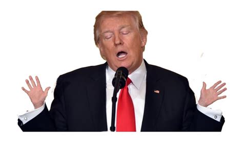 Free Donald Trump Transparent Background, Download Free Donald Trump ...