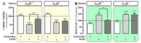 Adenosine A1-A2A Receptor-Receptor Interaction: Contribution to ...