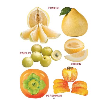 Dreamland Paper Back My Sparkling Fruits Book for kids 2Y+, Multicolour