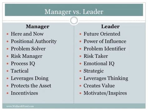 Project Manager vs Leader 的图像结果