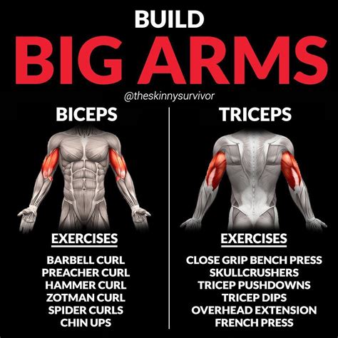 Here’s The Best Route To Bigger Biceps With This Superset Workout ...