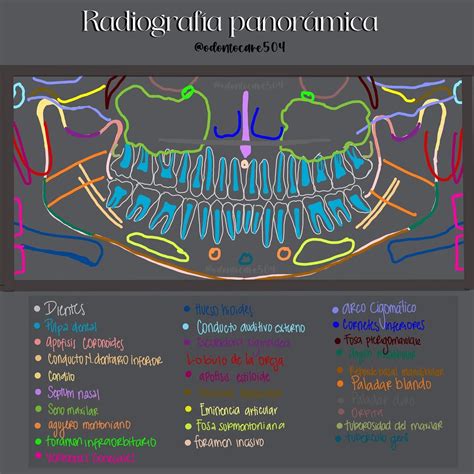 Image result for Creating a Representative Ensemble through Computer Simulation