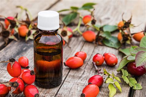 4 Benefits of Rosehip Seed Oil | How to Use Rosehip Oil for Face, Hair, Body I Glowing ...