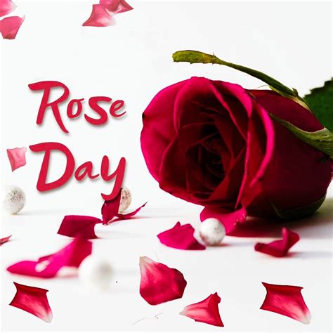 Best 20+ Rose Day Images » Mixing Images
