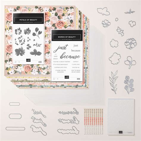 Brushed with Beauty Suite Collection | Stampin’ Up!
