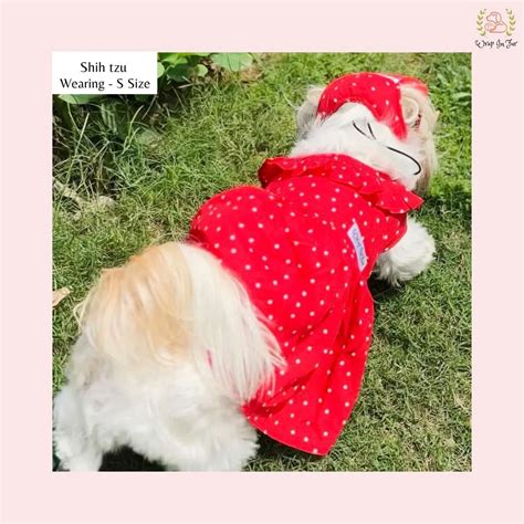 Wrapinfur Red Polka Cap | Dog Cap