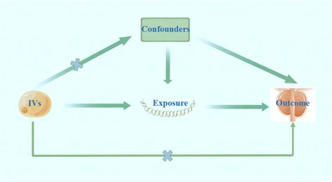 Image result for Introduction to Mendelian Randomization