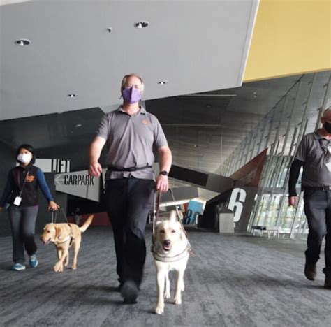 Image result for Guide Dog Trainer