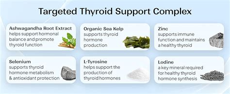 Miduty Triple Thyroid Care Supplement