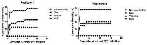 Pathogenicity of Aeromonas veronii from Nile Tilapia (Oreochromis ...