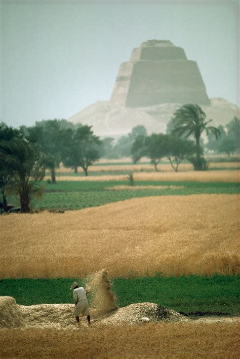 Neolithic Revolution 的图像结果