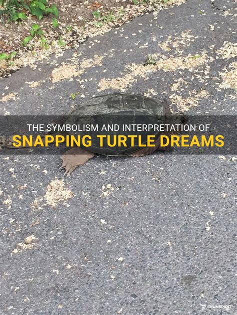 The Symbolism And Interpretation Of Snapping Turtle Dreams | ShunSpirit