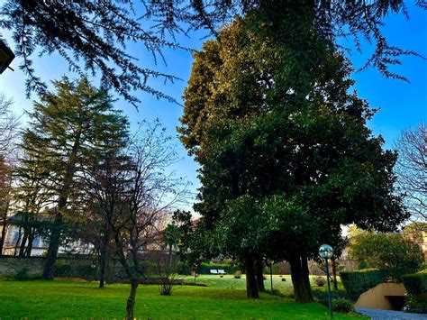 Via Giuseppe Rovani, 20900 Monza MB, Italia