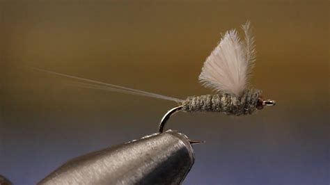Image result for Trout Fly Patterns Free