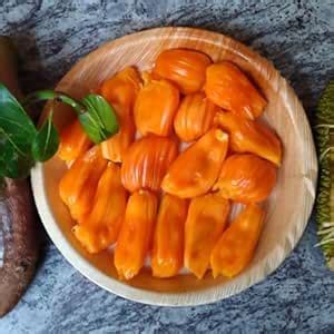 Hybrid Jackfruit Plant (Siddhu Jack, Bud Grafted, Hybrid) Artocarpus ...