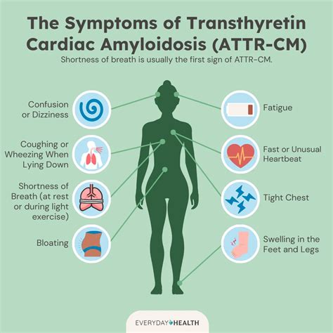 Transthyretin Cardiac Amyloidosis (ATTR-CM): Symptoms, Causes ...