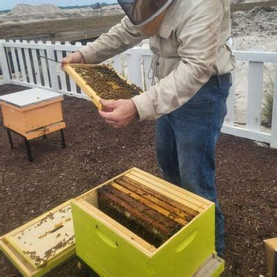 Simply Rooted, A Farm Education Series: Meet the Newfield Bees, 1001 ...