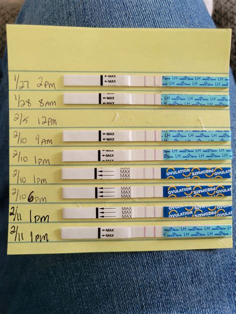 TTC w/ PCOS - two positive lh tests in two weeks | BabyCenter