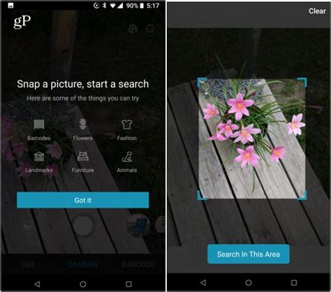 Bing Camera Search 的图像结果