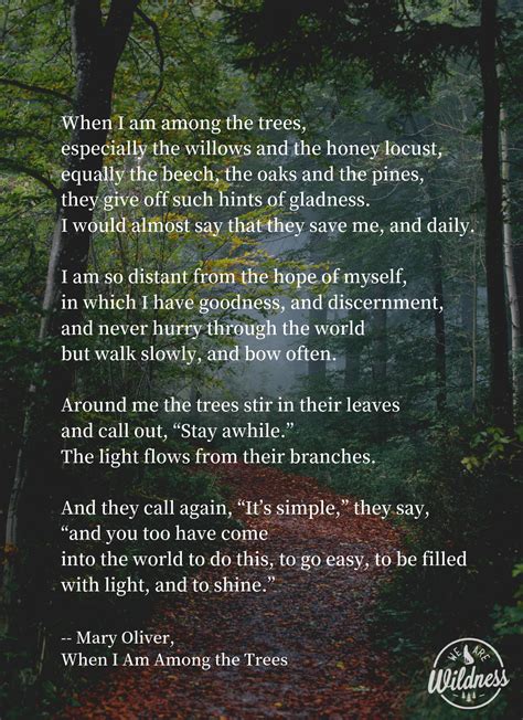 Nature Love Poem 10 of the Best Nature Poems Every Poet Love Must Read