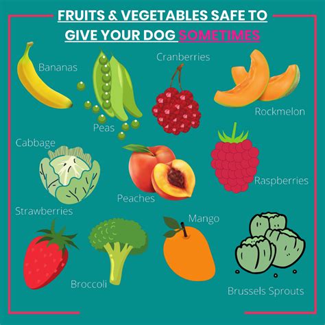 What Kind Of Fruit Can Dogs Eat at Dianne Nichols blog