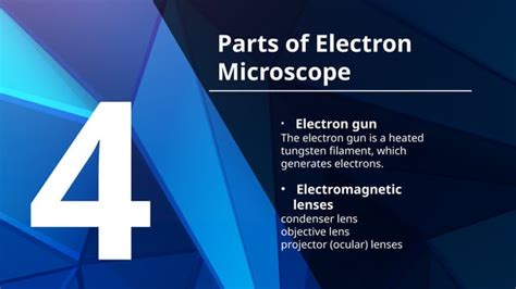 Image result for Electron Microscope Types