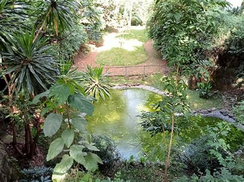 JOHN MICHUKI MEMORIAL PARK (2026) All You Need to Know BEFORE You Go ...