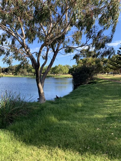 New Reference Photos: Perth Beaches and Gardens - Draw Paint Academy