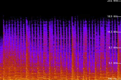 WAV vs. MP3: What's the Difference? – Movavi Audio Converter