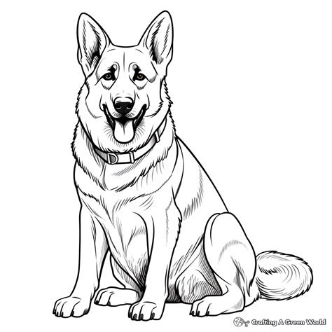 German Shepherd Coloring Page