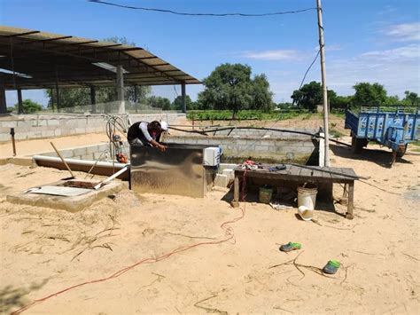 Recirculating Aquaculture System - Recirculatory Aquaculture System ...