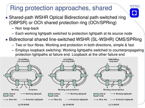 Protection Ring 的图像结果