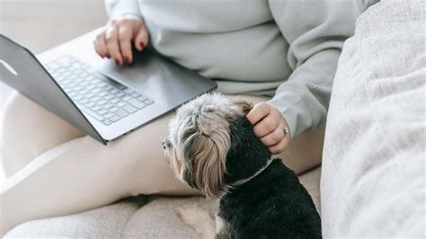 ‘If you work from home, you’re not allowed to complain about your job ...