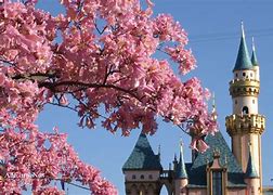 Image result for Windows Bacground Disney Fall