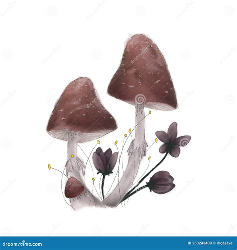 USB Socket Types 的图像结果