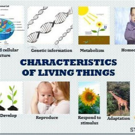 Biology Living Things 的图像结果