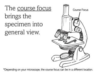 Image result for Course Focus Microscope Function