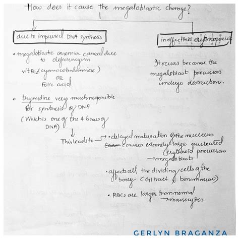 MEGALOBLASTIC ANEMIA – Dentowesome
