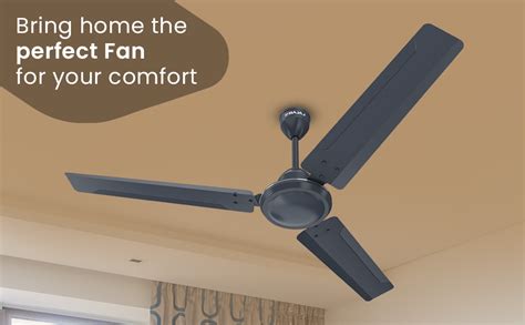 Buy Bajaj Classico 12S1 1200MM (48") Ceiling Fans For Home | BEE Star ...