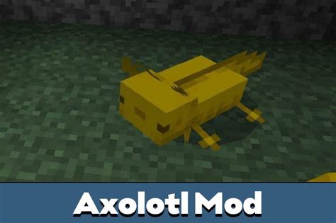 Image result for Minecraft Java Edition Axolotl Mod