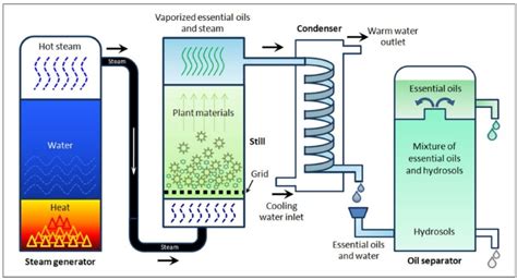 Image result for Essential Oil Process