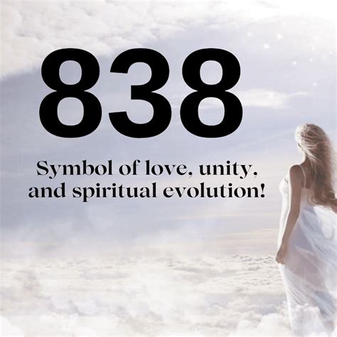 838 Angel Number Twin Flame - The Spiritual Parrot