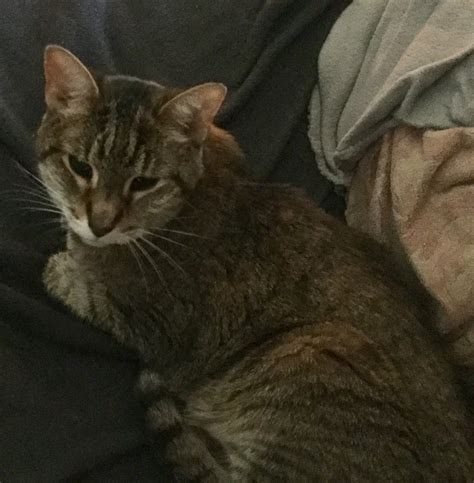 Scare Me On Fridays: Psych: Tuesday The 17th