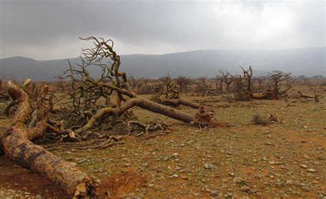 Home page | World Heritage Outlook